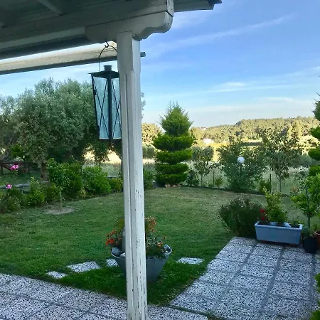 Modern Close To The Beach
